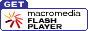 uFlash Playerv̍ŐVł肵Ă