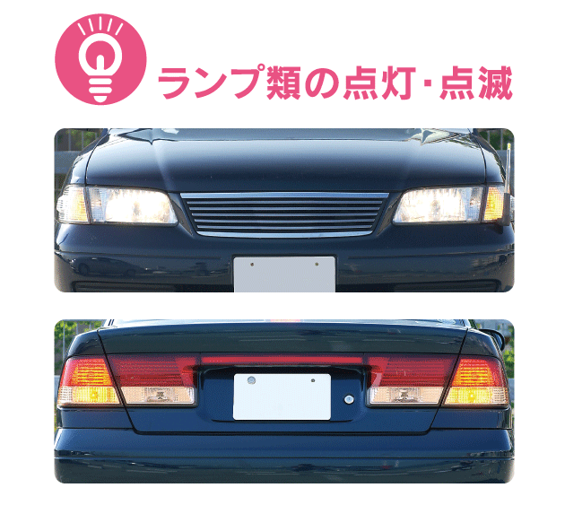 クルマの回りを回って